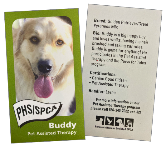 Buddy's business card